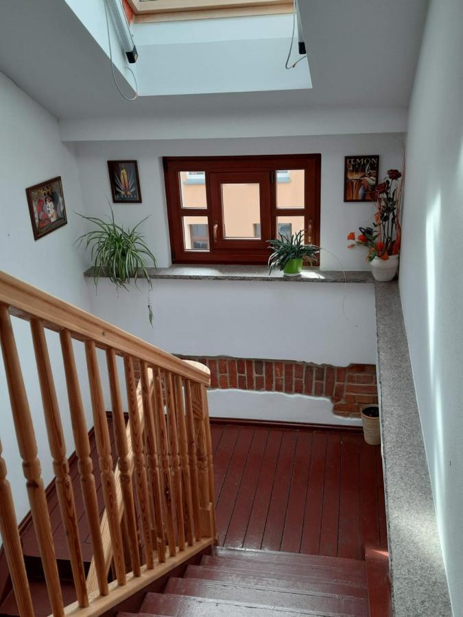 T.r.11 Nr 5 Apartment